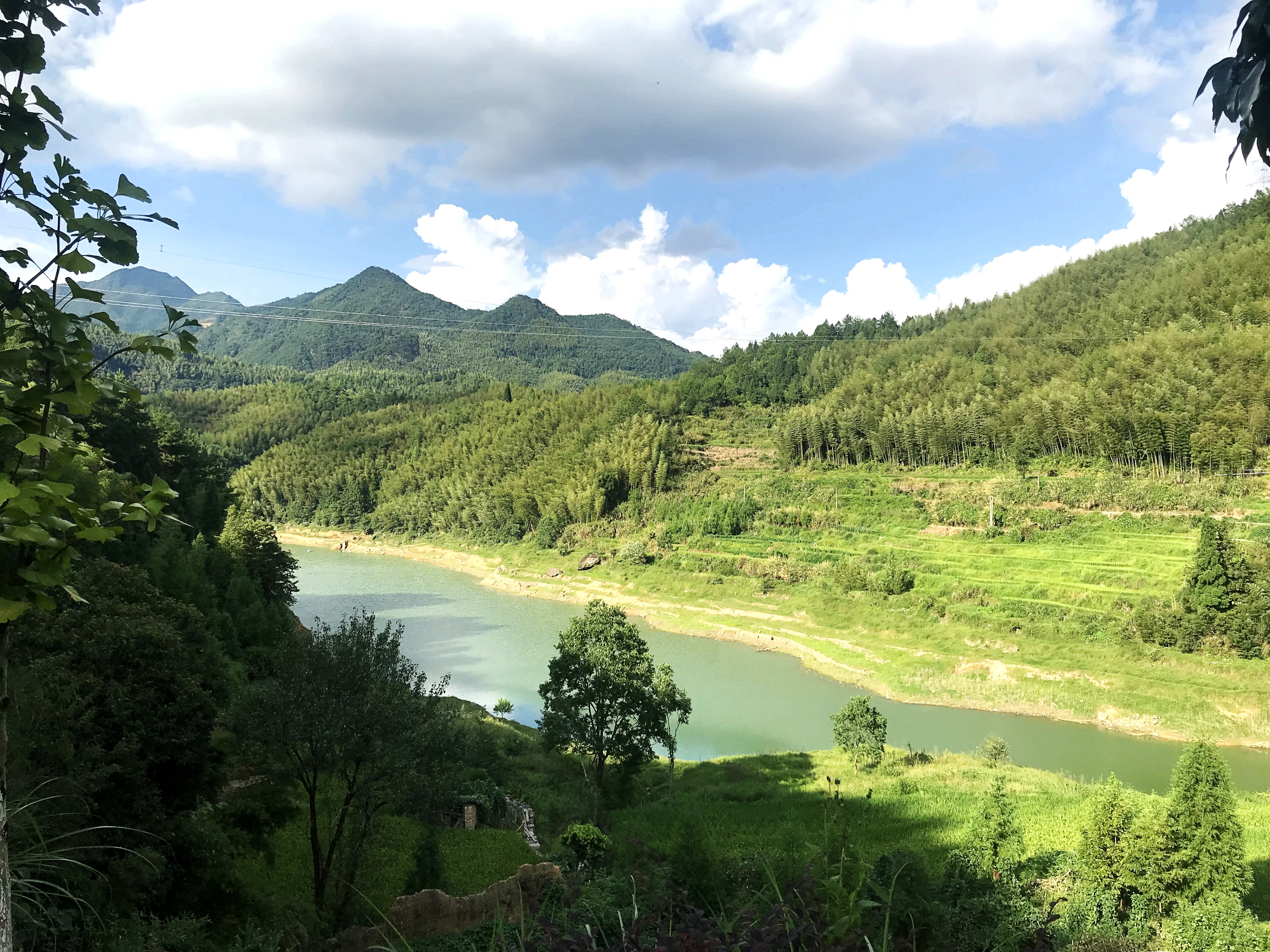 浙江公司中標(biāo)235國(guó)道景寧東坑至泰順?biāo)厩岸胃慕üこ蹋ň皩幎危┕た删幹萍翱辈煸O(shè)計(jì)項(xiàng)目
